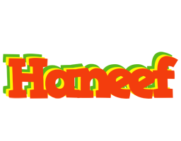 Haneef bbq logo