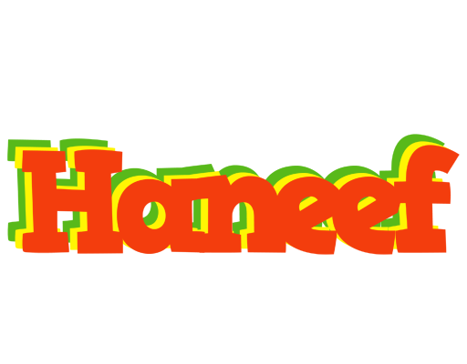Haneef bbq logo