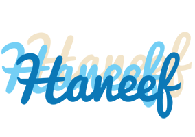 Haneef breeze logo