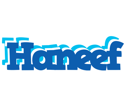 Haneef business logo
