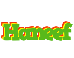 Haneef crocodile logo