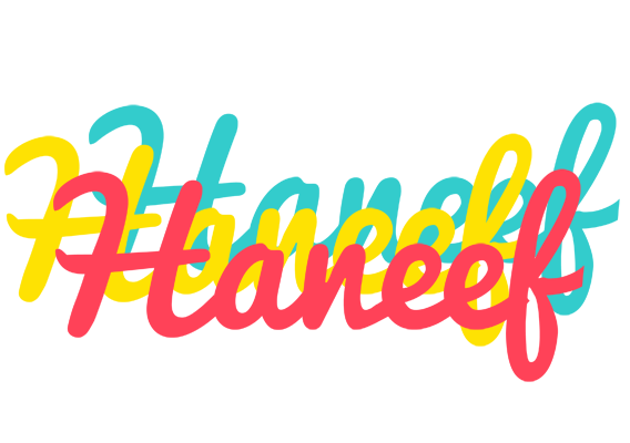 Haneef disco logo