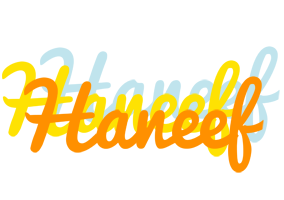 Haneef energy logo