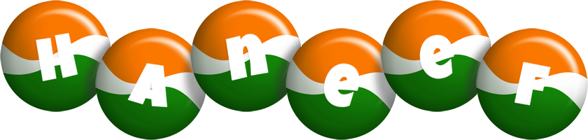 Haneef india logo