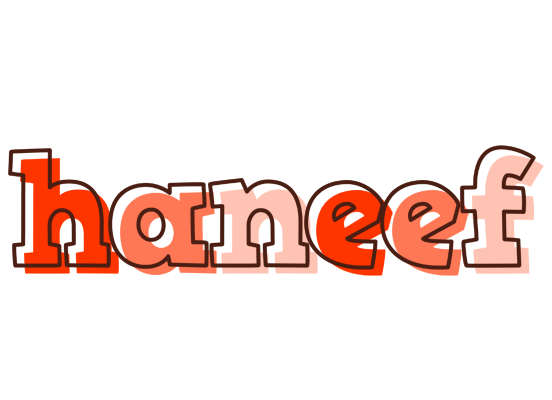 Haneef paint logo