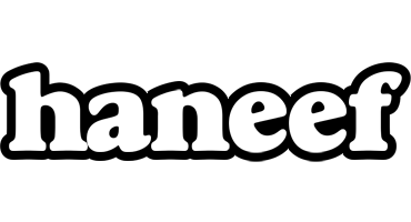 Haneef panda logo