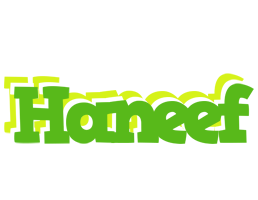 Haneef picnic logo