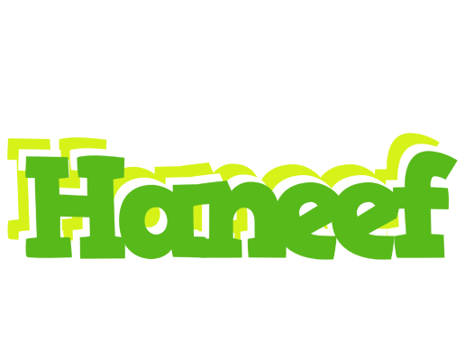 Haneef picnic logo