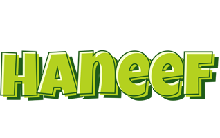 Haneef summer logo