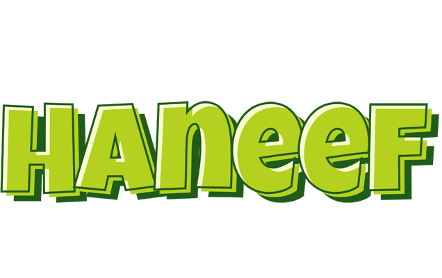 Haneef summer logo