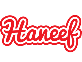 Haneef sunshine logo