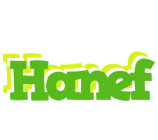 Hanef picnic logo
