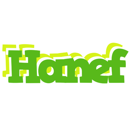 Hanef picnic logo