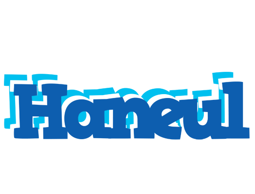 Haneul business logo