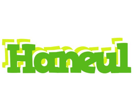 Haneul picnic logo