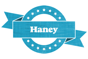 Haney balance logo