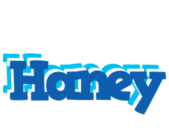 Haney business logo