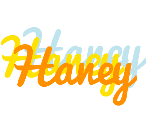 Haney energy logo