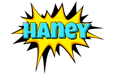 Haney indycar logo