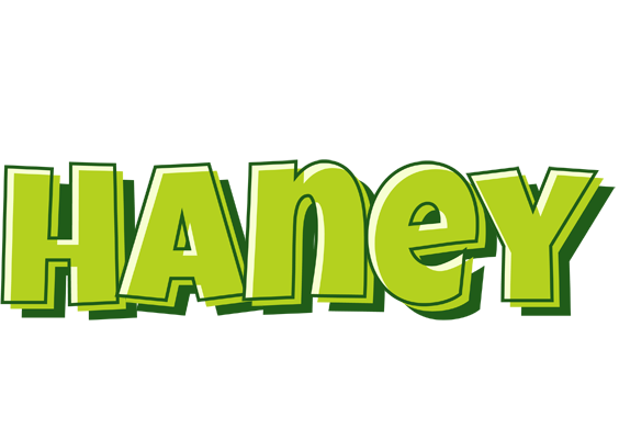 Haney summer logo