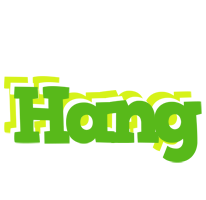 Hang picnic logo