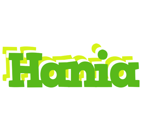 Hania picnic logo