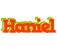 Haniel bbq logo