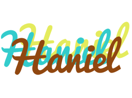 Haniel cupcake logo