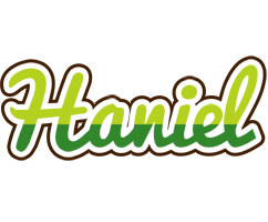 Haniel golfing logo