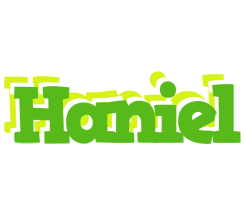 Haniel picnic logo