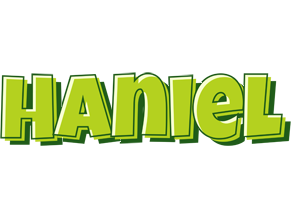 Haniel summer logo