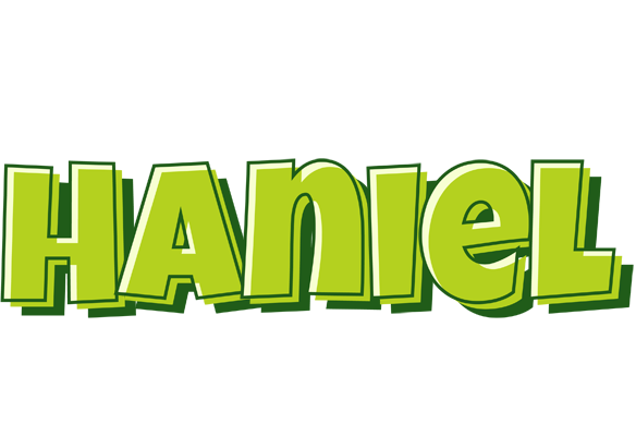 Haniel summer logo