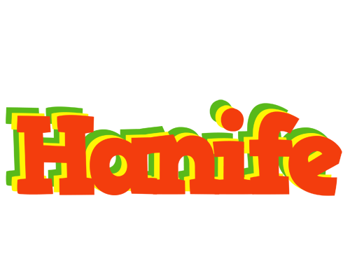 Hanife bbq logo