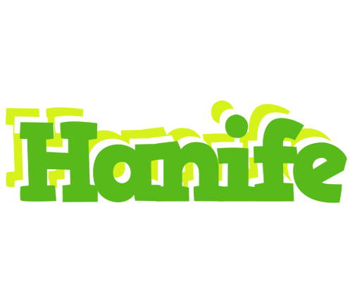 Hanife picnic logo