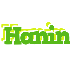 Hanin picnic logo