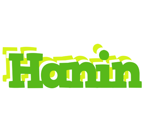 Hanin picnic logo