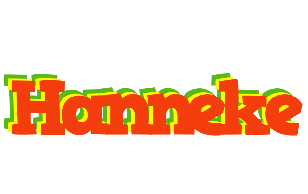 Hanneke bbq logo