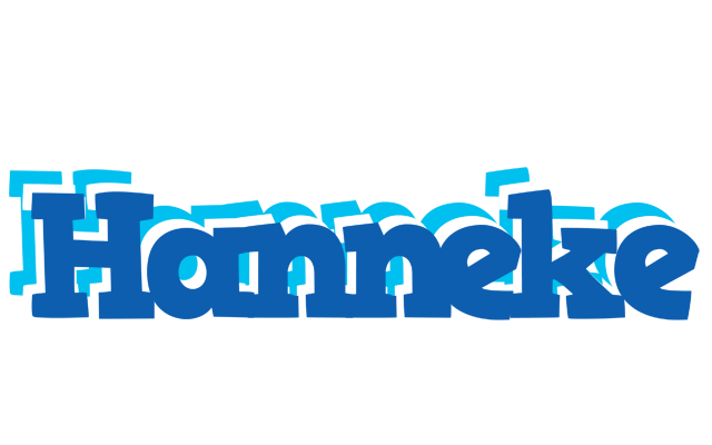 Hanneke business logo