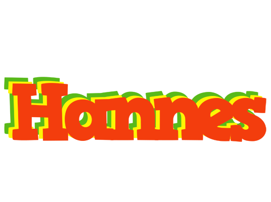 Hannes bbq logo
