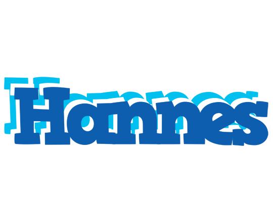 Hannes business logo