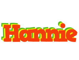 Hannie bbq logo