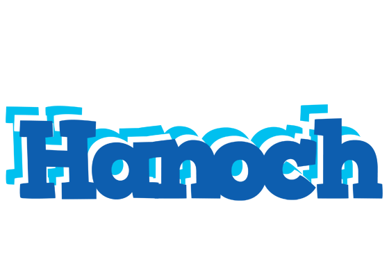 Hanoch business logo