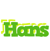 Hans picnic logo