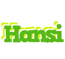 Hansi picnic logo