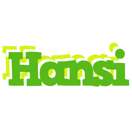 Hansi picnic logo