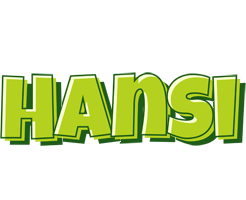 Hansi summer logo