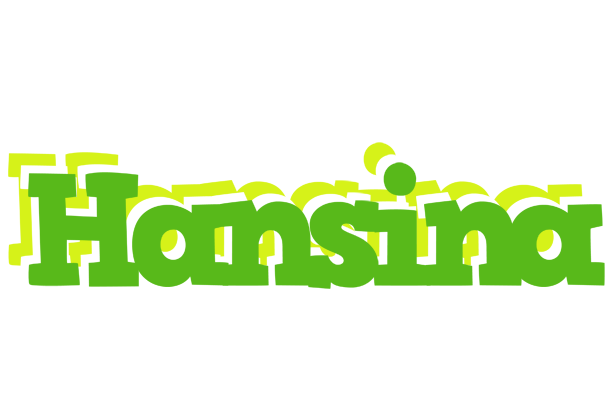 Hansina picnic logo