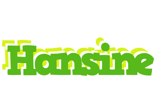 Hansine picnic logo