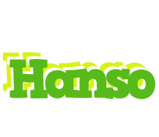 Hanso picnic logo