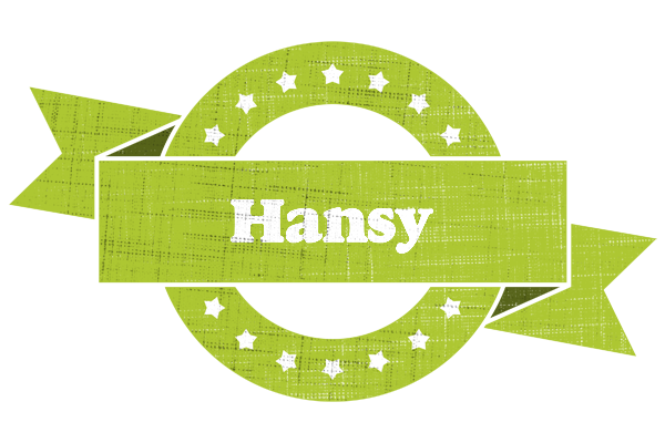 Hansy change logo